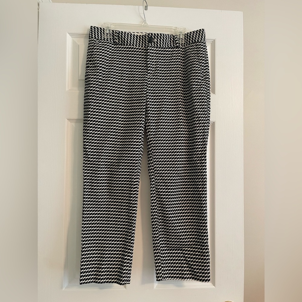 Banana Republic Hampton Pants size 8